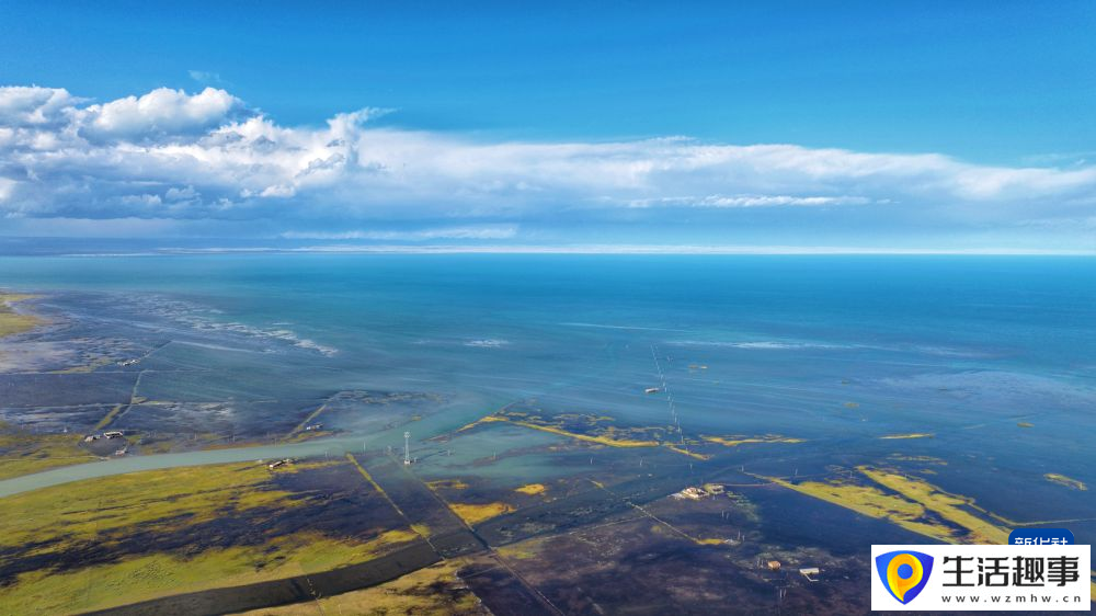 秋染青海湖(图2)