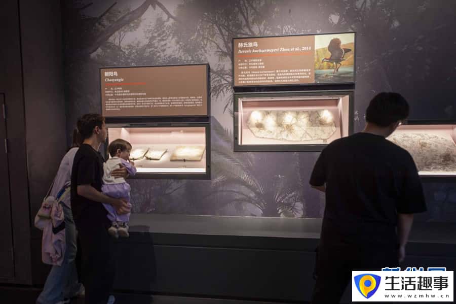 走进辽宁朝阳古生物化石博物馆(图3) 走进辽宁朝阳古生物化石博物馆(图3)