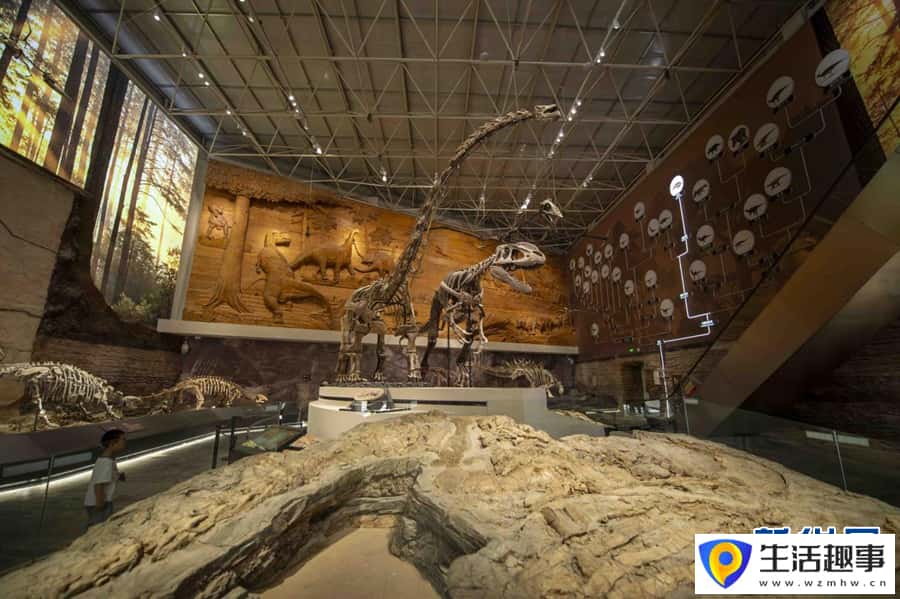走进辽宁朝阳古生物化石博物馆(图4) 走进辽宁朝阳古生物化石博物馆(图4)
