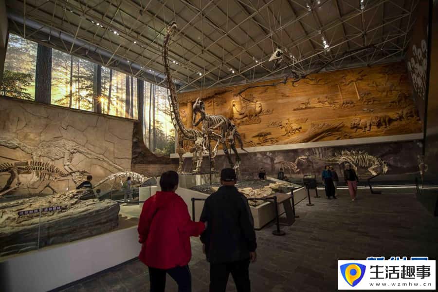走进辽宁朝阳古生物化石博物馆(图5) 走进辽宁朝阳古生物化石博物馆(图5)