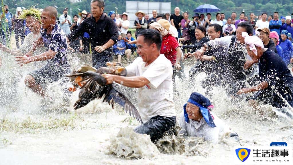 欢庆中国农民丰收节