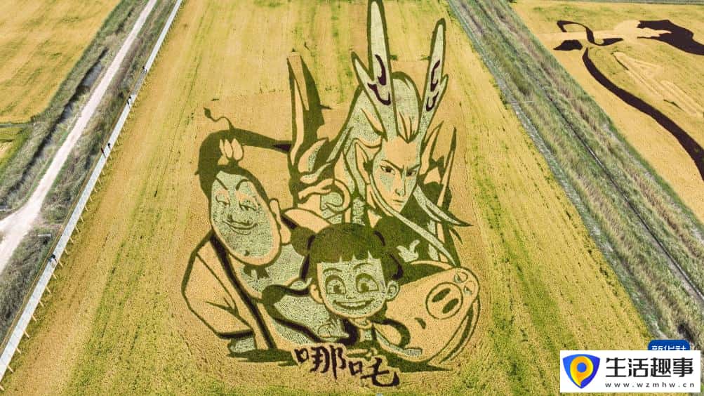 内蒙古准格尔旗:黄河蜿蜒 稻田作画(图3) 内蒙古准格尔旗:黄河蜿蜒 稻田作画(图3)