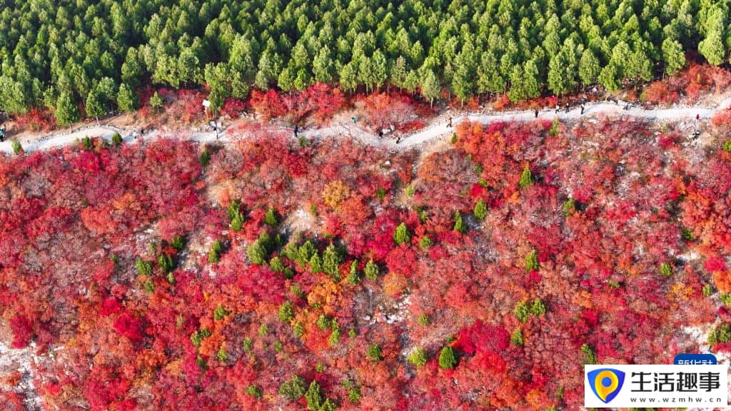 “平分秋色”蝎子山