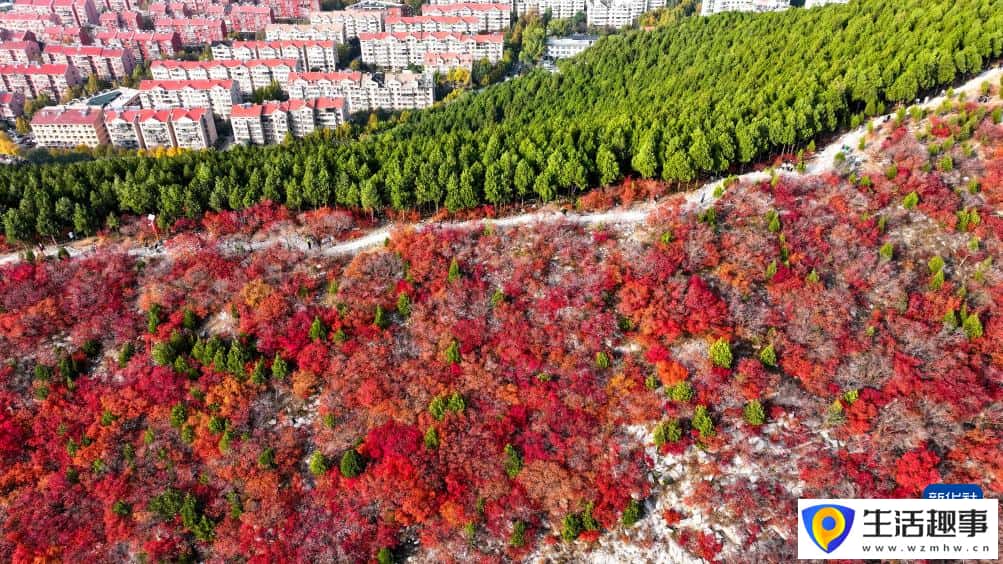 “平分秋色”蝎子山(图4) “平分秋色”蝎子山(图4)