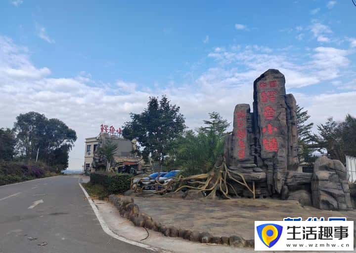 养鳄鱼、种荔枝、种凤梨……海南这些“亿元村”是怎么发展起来的？