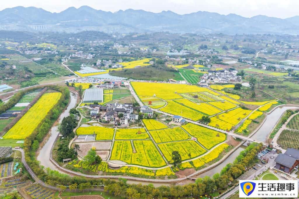重庆璧山:花开引客来 融合促振兴(图1) 重庆璧山:花开引客来 融合促振兴(图1)