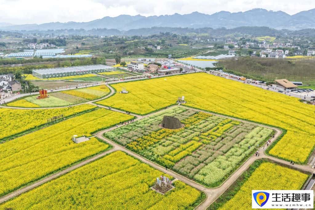 重庆璧山:花开引客来 融合促振兴(图2) 重庆璧山:花开引客来 融合促振兴(图2)