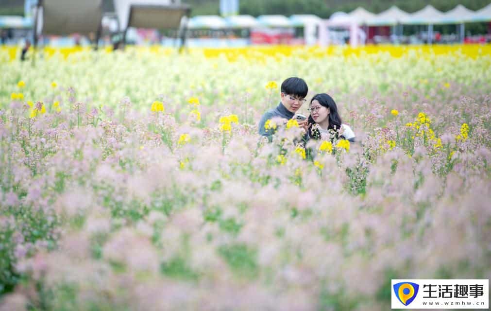 重庆璧山:花开引客来 融合促振兴(图3) 重庆璧山:花开引客来 融合促振兴(图3)