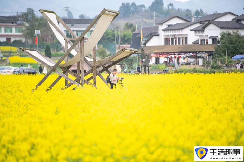 重庆璧山:花开引客来 融合促振兴(图4) 重庆璧山:花开引客来 融合促振兴(图4)