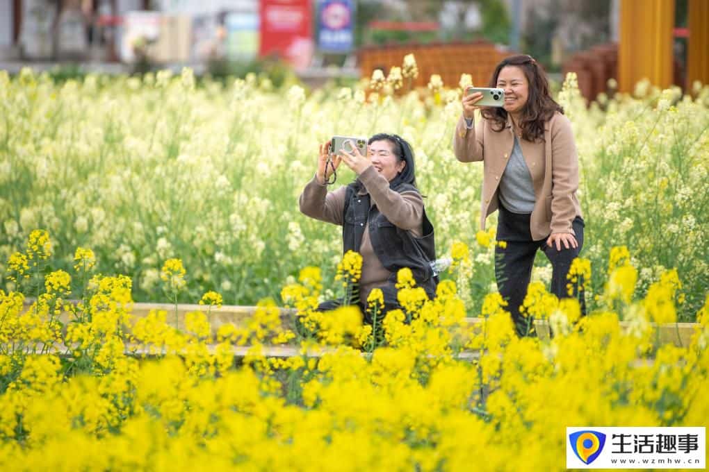 重庆璧山:花开引客来 融合促振兴(图5) 重庆璧山:花开引客来 融合促振兴(图5)