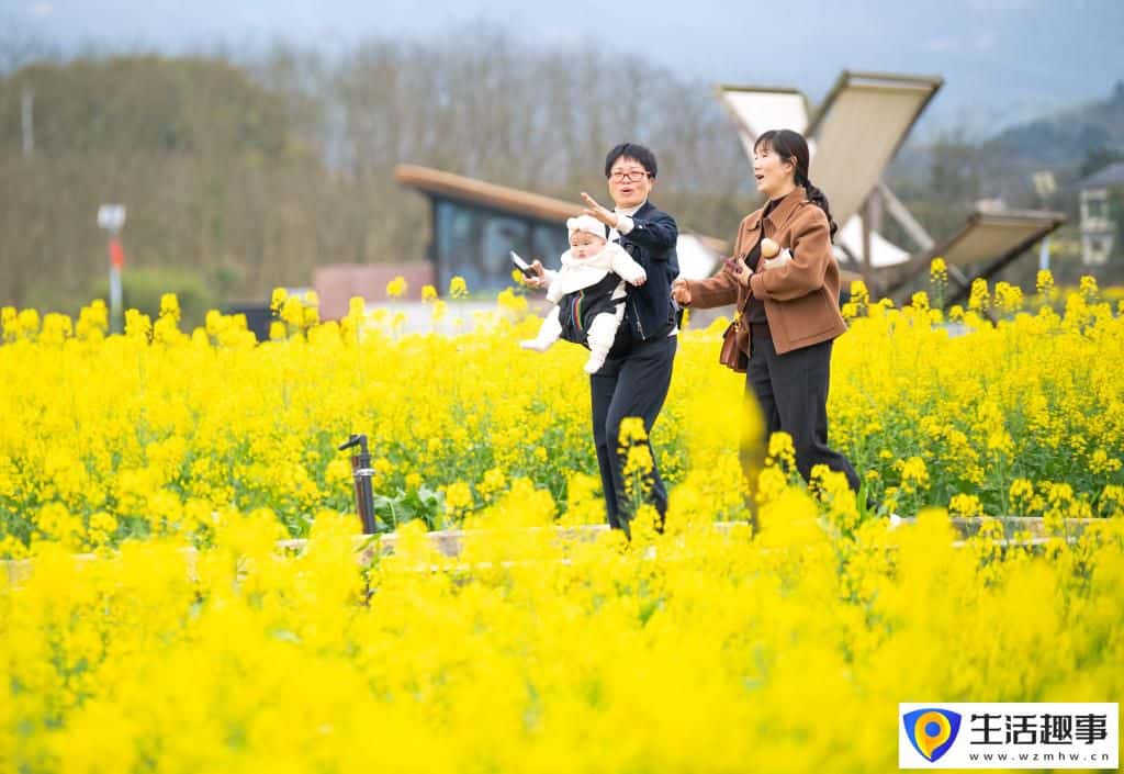 重庆璧山:花开引客来 融合促振兴(图6) 重庆璧山:花开引客来 融合促振兴(图6)