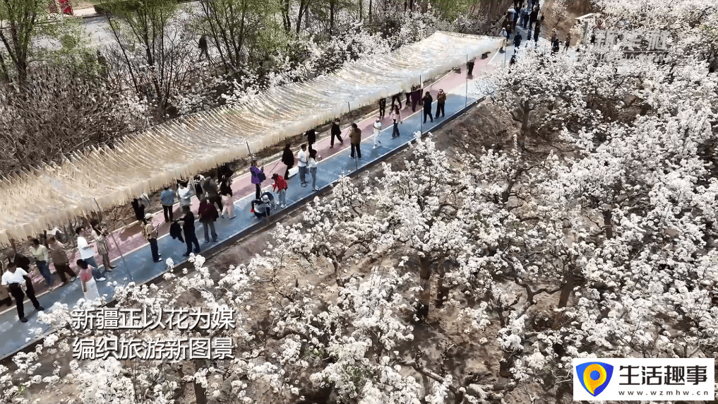 新疆以花为媒 绘旅游新图景(图4) 新疆以花为媒 绘旅游新图景(图4)