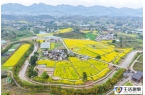 重庆璧山：花开引客来 融合促振兴
